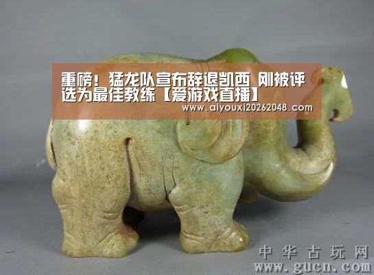 爱游戏体育