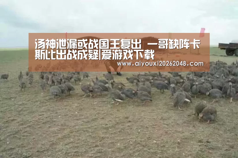 爱游戏平台