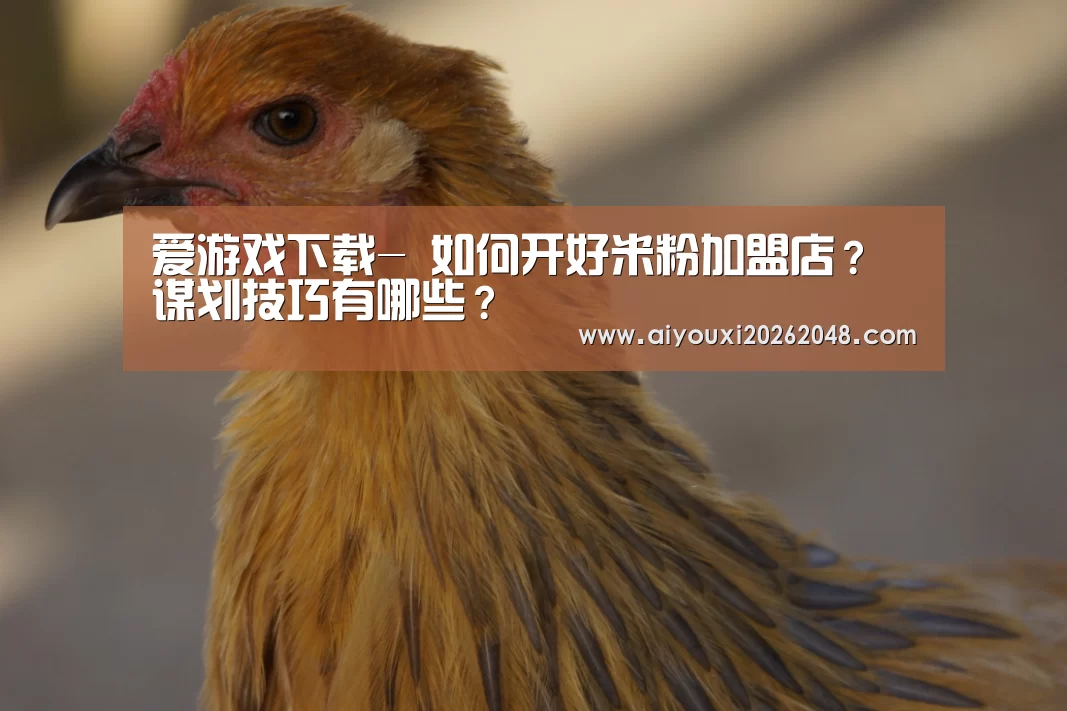 爱游戏下载-
如何开好米粉加盟店?谋划技巧有哪些?(图4) 爱游戏下载