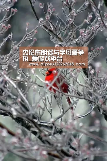 杰伦布朗谈与字母哥争执_爱游戏平台(图2) 爱游戏下载