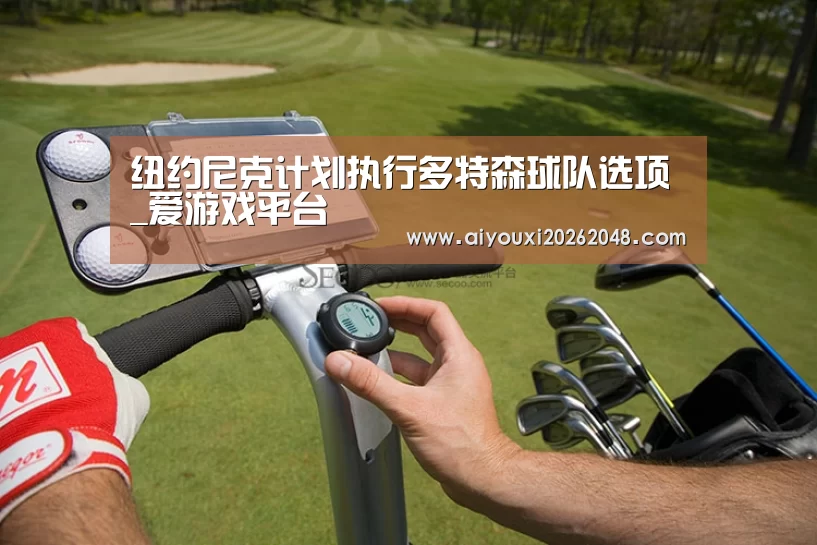 纽约尼克计划执行多特森球队选项_爱游戏平台(图3) 爱游戏平台
