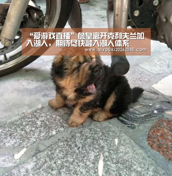 爱游戏下载