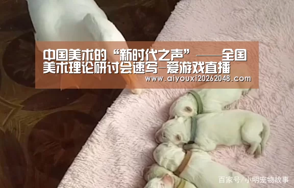 中国美术的“新时代之声”——全国美术理论研讨会速写-爱游戏直播(图1) 爱游戏体育