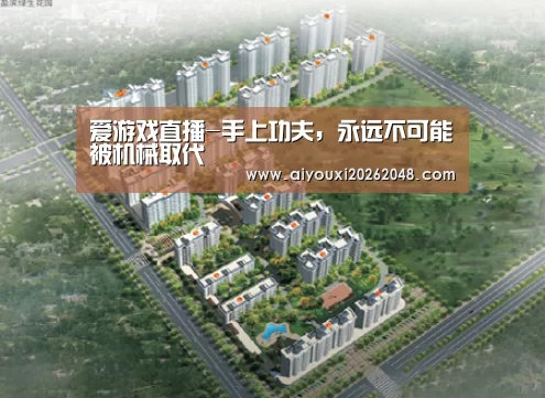 爱游戏直播-手上功夫,永远不可能被机械取代(图2) 爱游戏下载