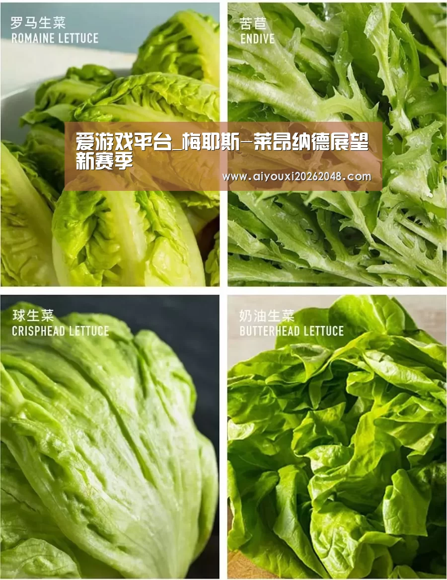 爱游戏平台_梅耶斯-莱昂纳德展望新赛季(图2) 爱游戏体育